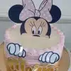 Topper-Bolo-Minnie